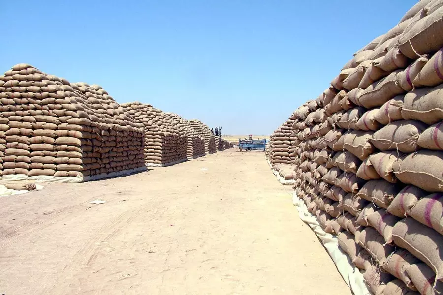 النظام السوري يطرح مناقصة عالمية لشراء 200 ألف طن من القمح