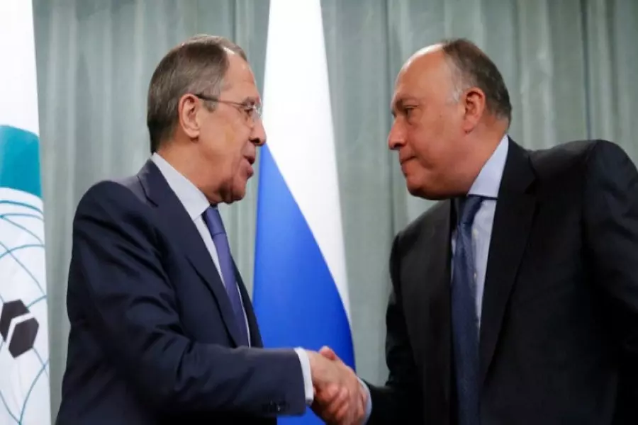 روسيا ومصر تناقشان الأوضاع في سوريا وليبيا ومنطقة الخليج