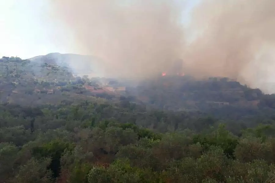 موجة جديدة من الحرائق الحراجية تمتد إلى جبال الساحل السوري