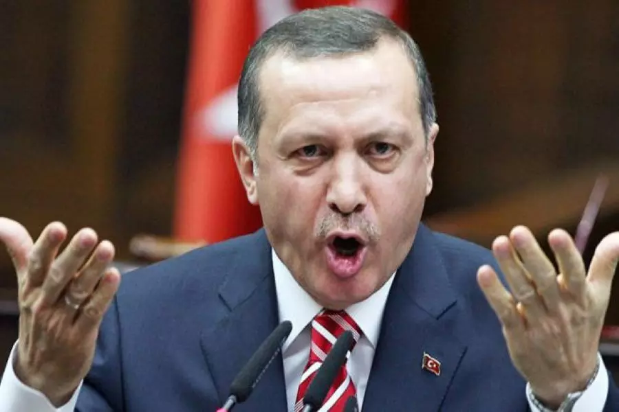 أردوغان يبدي لنظيره الفرنسي انزعاجه من تصريحات لا أساس لها من الصحة حول "غصن الزيتون"