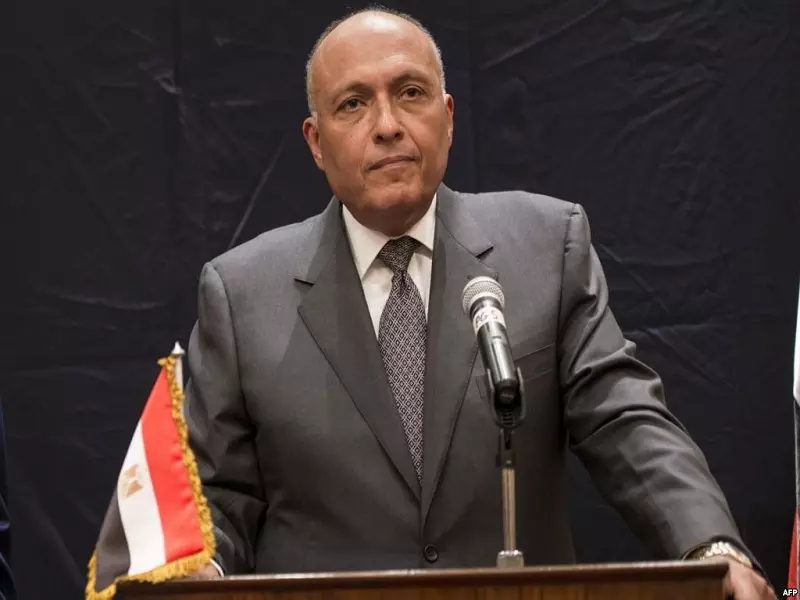 وزير خارجية مصر: حريصون على خروج سوريا من مأزقها من خلال حل سياسي