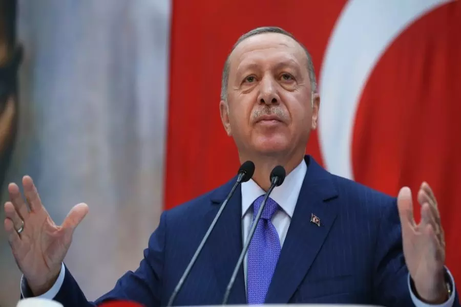 أردوغان يدعو الناتو لتبني دور فعال في مسألة إنشاء المنطقة الآمنة