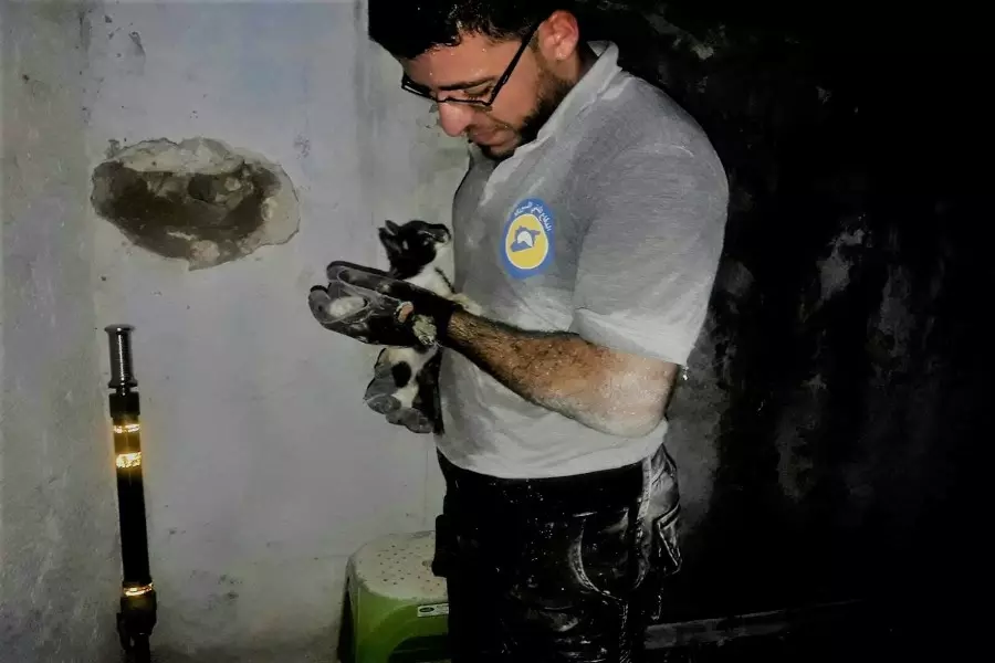 فريق للدفاع المدني السوري يستجيب لإنقاذ "قطة" عالقة في جدار أحد المنازل بإدلب