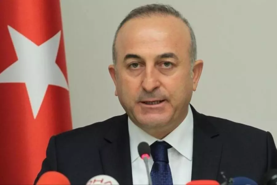 تركيا تعترض على وجود شخص ضمن اللجنة الدستورية