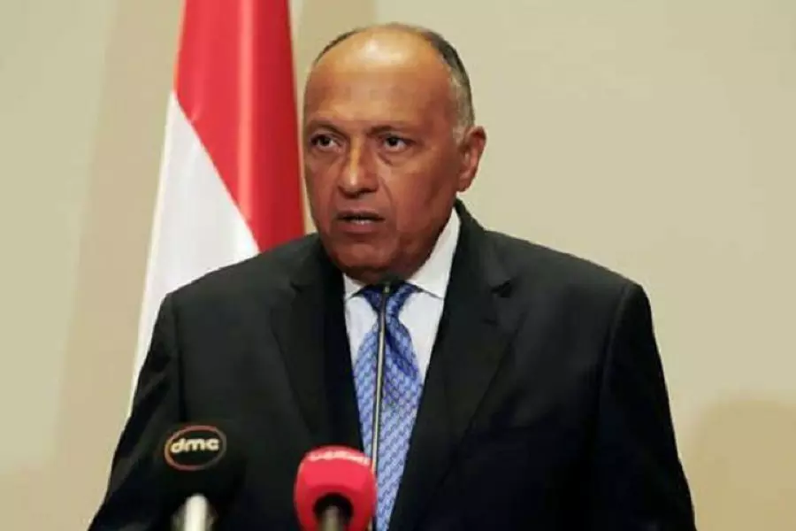 مصر تنفي طلب فرنسا منها إرسال قواتها إلى سوريا