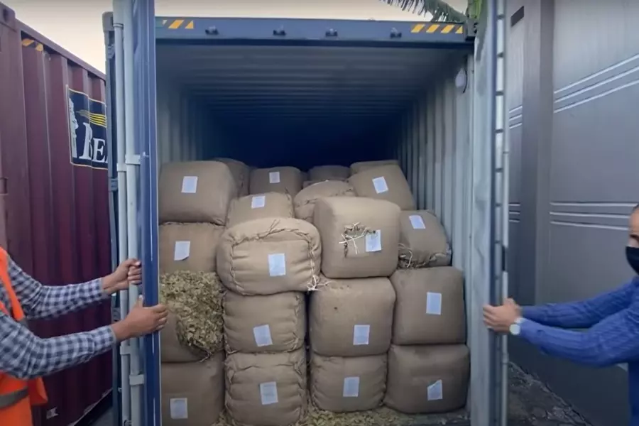 قادمة من مناطق نظام الأسد ... ضبط شحنة مخدرات كبيرة في ميناء مصري