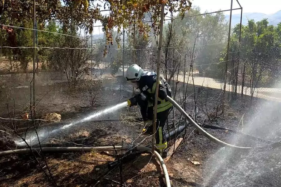 نشرة حصاد يوم الأحد لجميع الأحداث الميدانية والعسكرية في سوريا 02-08-2020