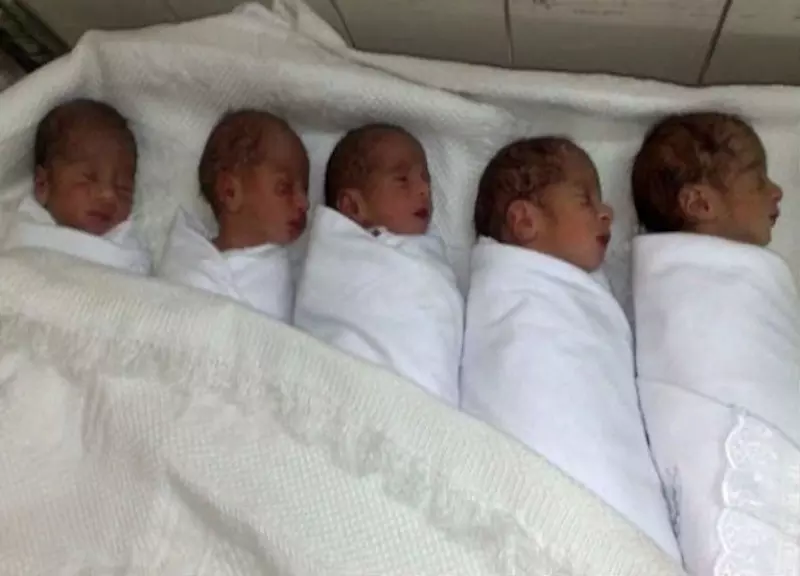 ٣ أطباء في كنف "الأسد" يمتهنون بيع الأطفال السوريين في لبنان