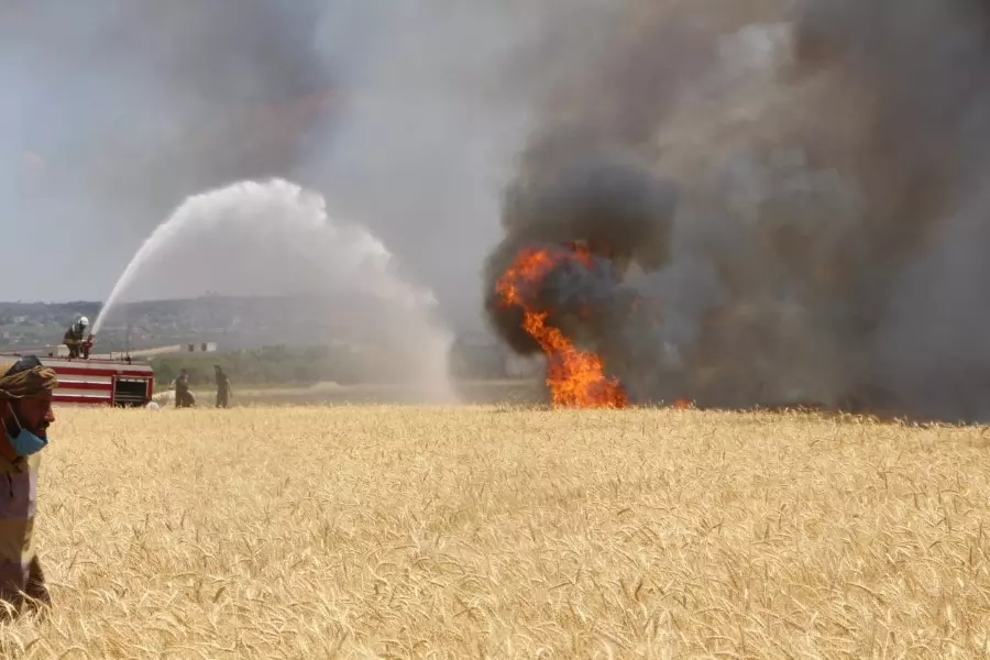 حصاد الأحداث الميدانية ليوم الأحد 06-06-2021