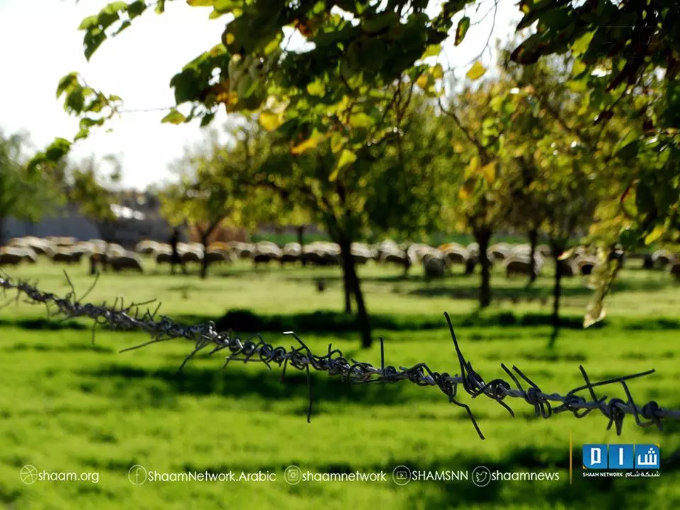 نشرة أخبار الساعة 4 عصرا لجميع الاحداث الميدانية في سوريا 08-12-2015