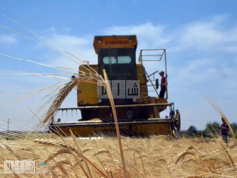 حصاد الاحداث الميدانية ليوم الأربعاء 25-05-2016