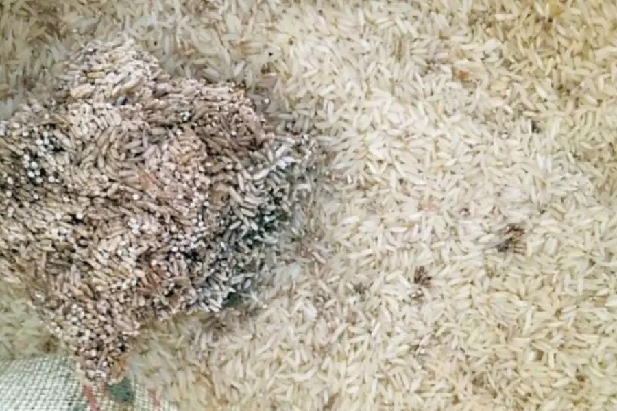 غير صالحة للاستهلاك البشري .. النظام يبيع مواد غذائية فاسدة ومسمومة عبر "البطاقة الذكية"