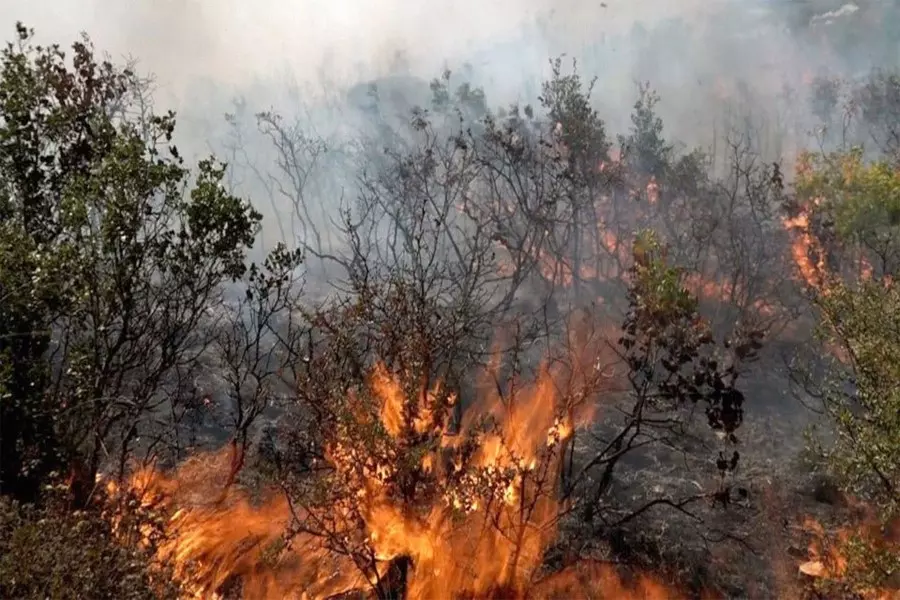 نظام الأسد يعلن إعدام 24 شخصاً بتهمة "ارتكاب أعمال إرهابية باستخدام المواد الحارقة" ..!!