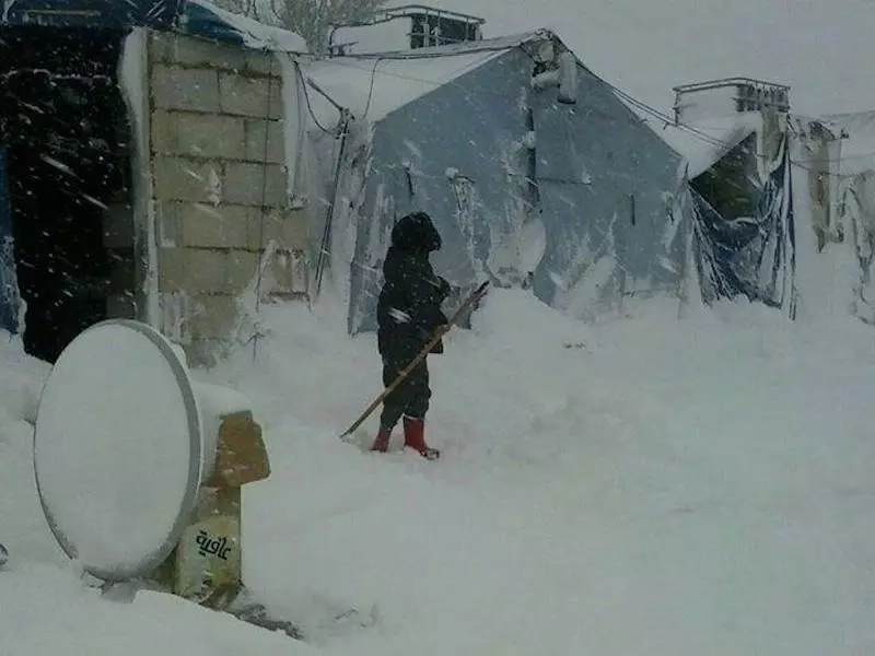 اللاجئون السوريون يُقتلون يومياً