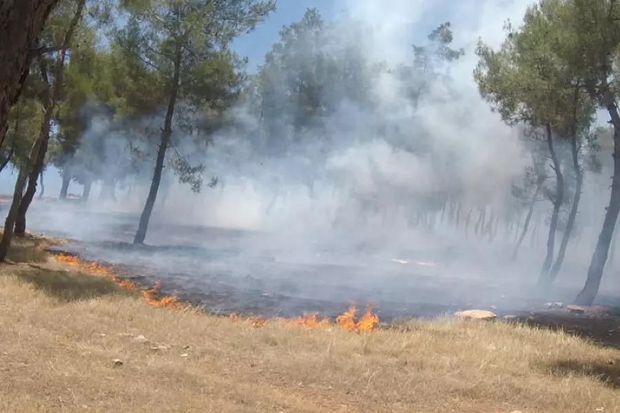 حصاد الأحداث الميدانية ليوم الأربعاء 01-07-2020