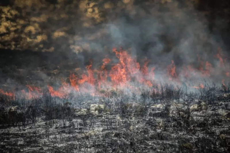 تجدد الحرائق الحراجية بمحافظتي حمص وطرطوس