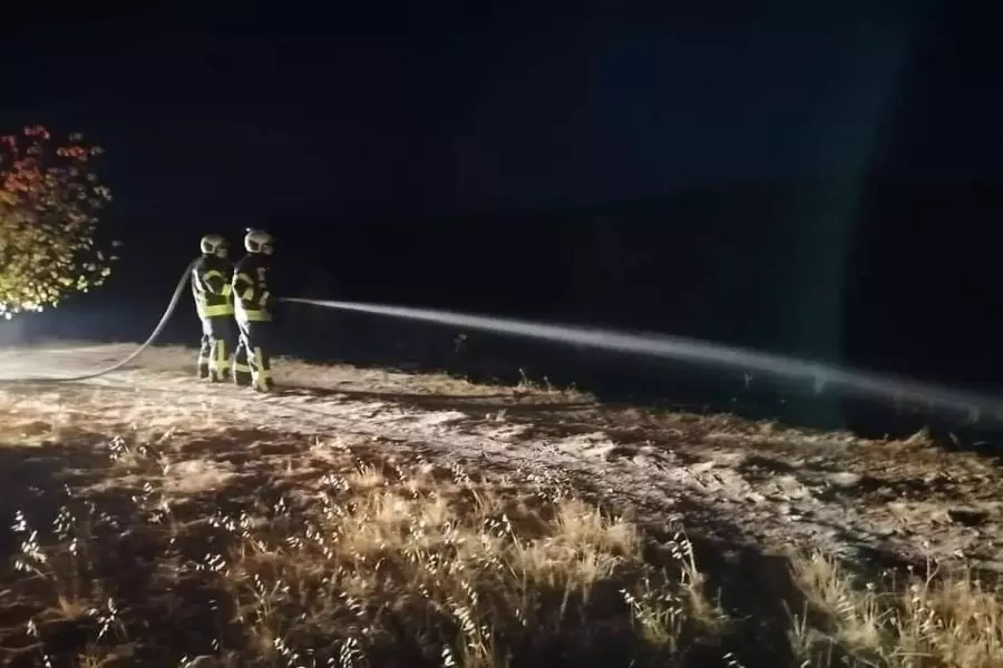 حصاد الأحداث الميدانية ليوم الأحد 01-11-2020