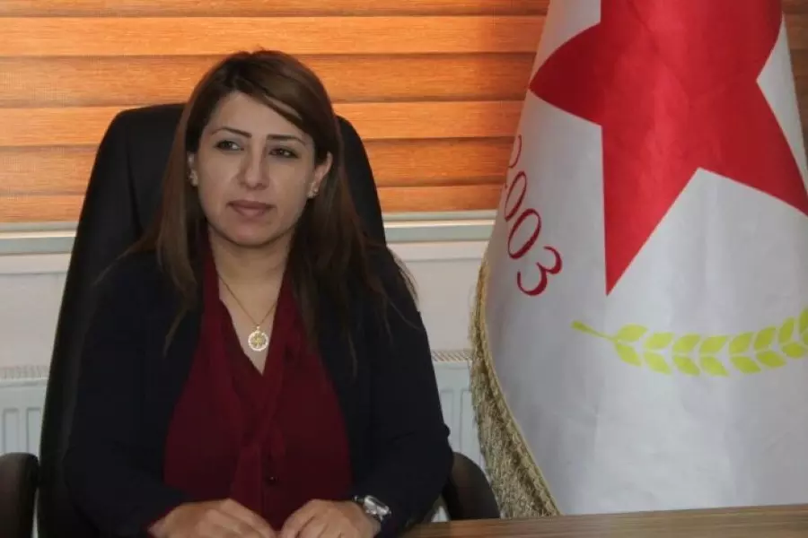 مسؤولة في "الاتحاد الديمقراطي": مساع أمريكية لإشراك الأكراد في العملية السياسية بسوريا