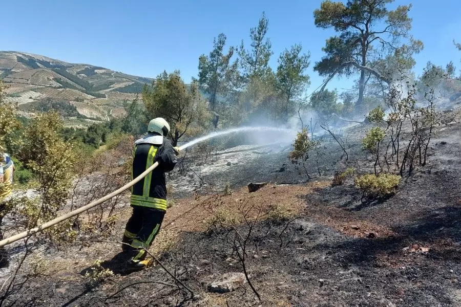 حصاد الأحداث الميدانية ليوم الخميس 20-05-2021