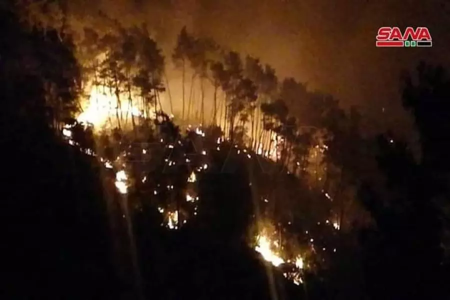 سلسلة حرائق وسط سوريا والساحل وموالون يتهمون النظام بالتقاعس وتكرار التبريرات