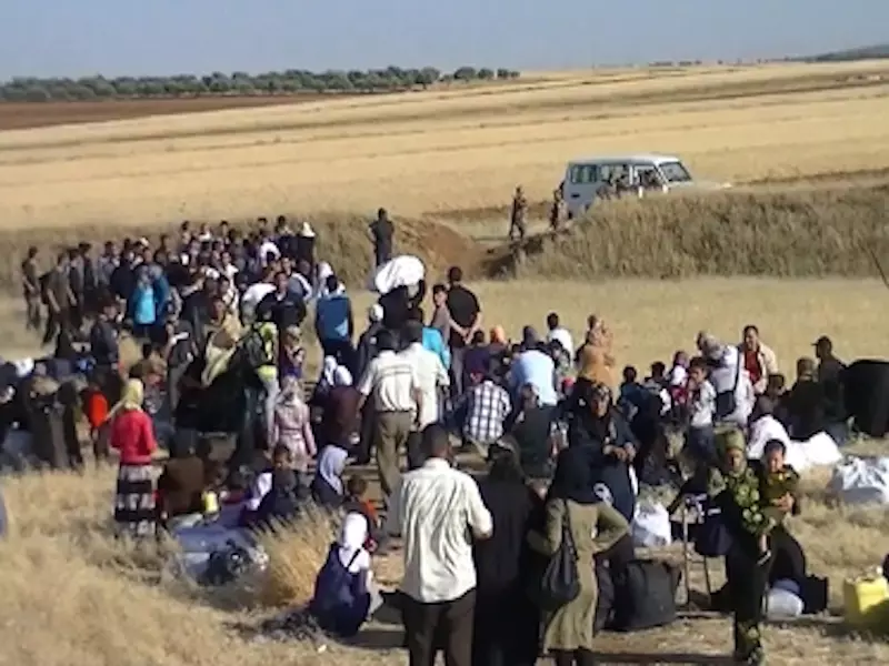 حقائق في اللجوء السوري!