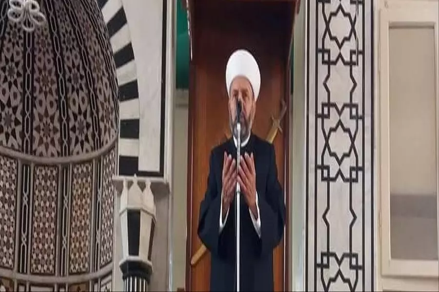 غزو الضفادع.. حين عاد العُشّاق إلى حظيرة حُبهم!