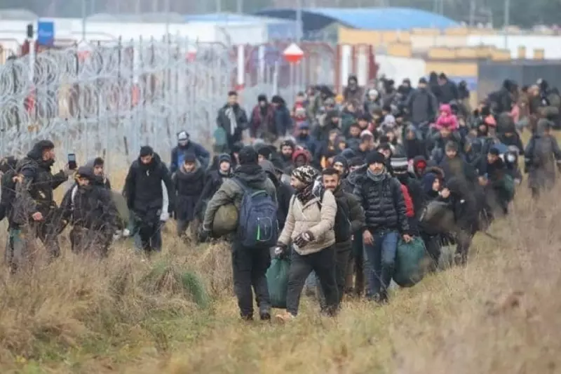 نيويورك تايمز: "الاندفاع المفاجئ" للمهاجرين لم يكن صدفة "بيلاروسيا استدرجتهم"