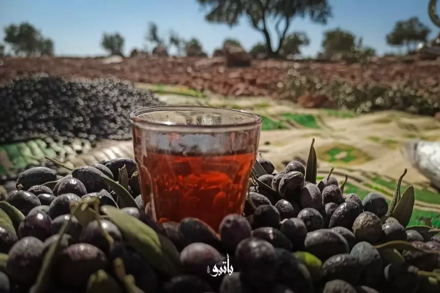 نشرة حصاد يوم الأحد لجميع الأحداث الميدانية والعسكرية في سوريا 17-10-2021