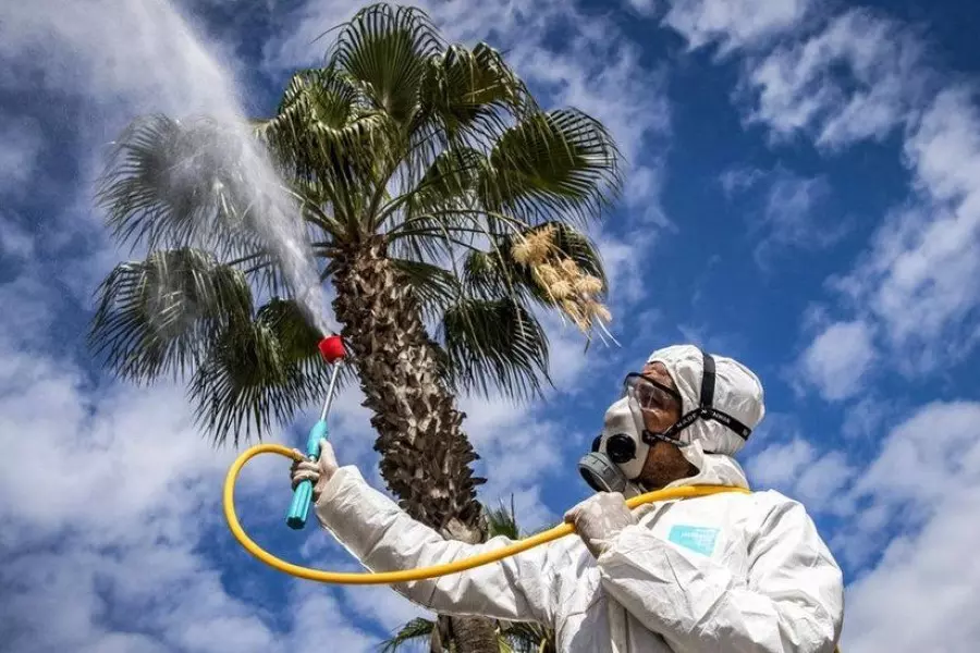 دراسة: حرارة الصيف يمكن أن تخفف انتشار فيروس "كورونا"