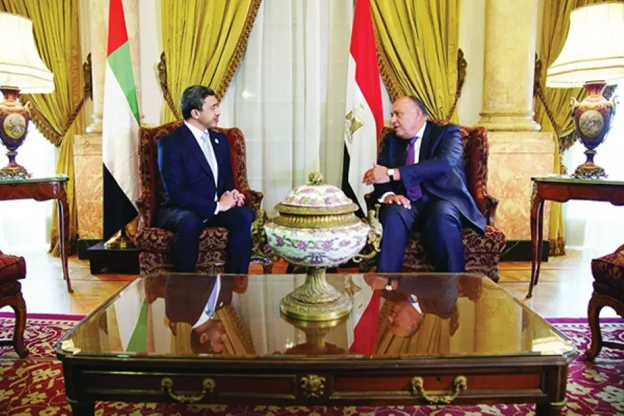 وزيرا خارجية مصر والإمارات يبحثان تطورات الأوضاع في سوريا