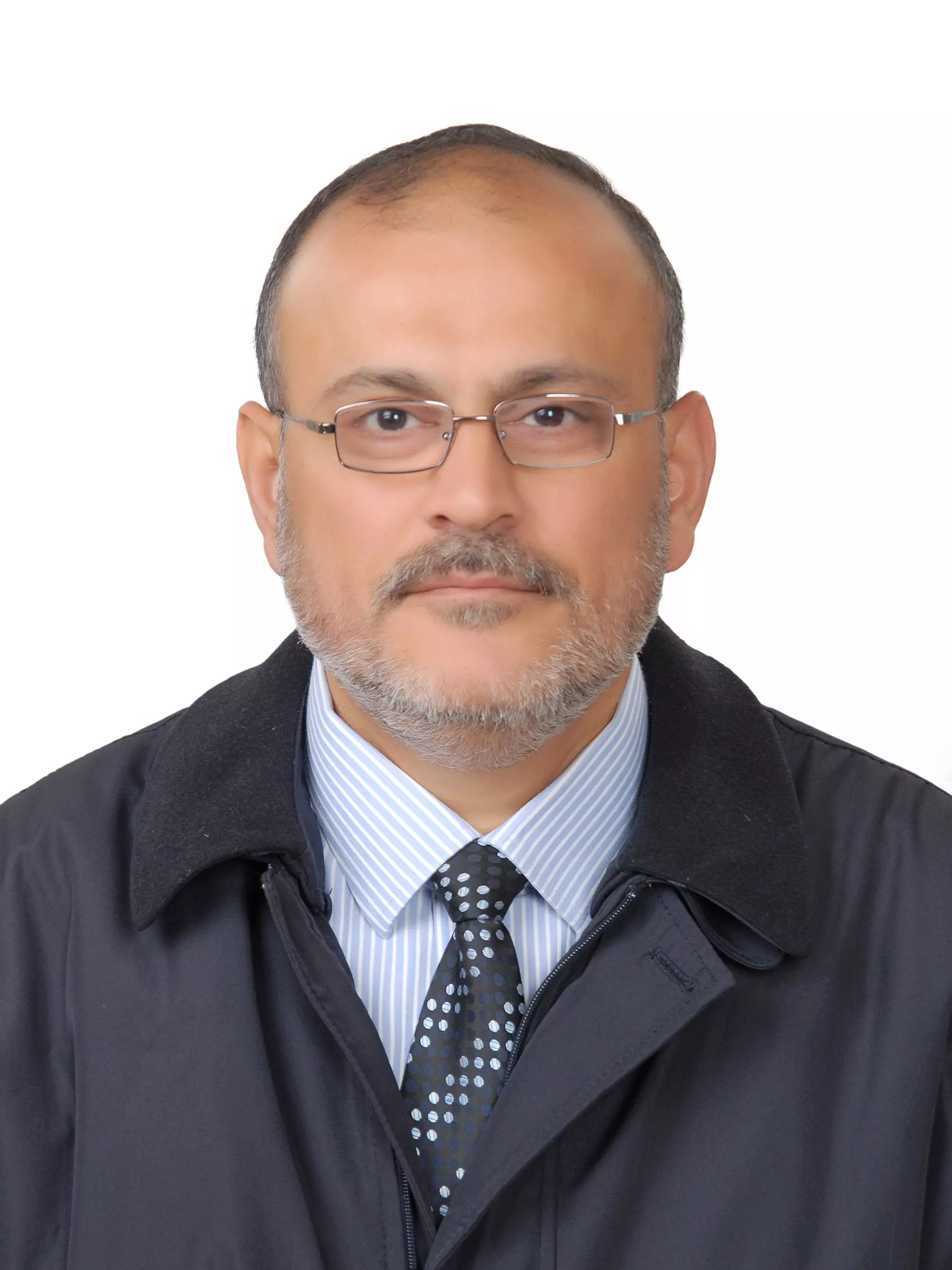 فقط إزاحة بشّار هو هدف الثوّار