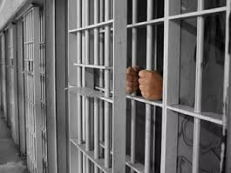 "المحامي العام" للأسد .. يجب تحويل السجن إلى دار للإصلاح وليس للتأديب !!