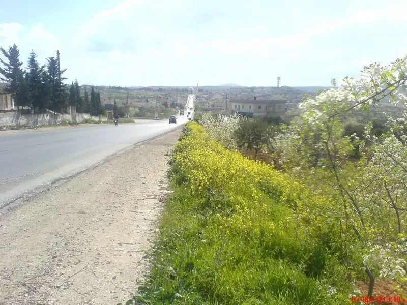 أورم الجوز تخرج من سجنها وتتنفس الحرية لأول مرة