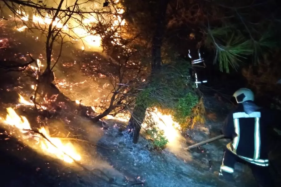 حصاد الأحداث الميدانية ليوم السبت 07-08-2021