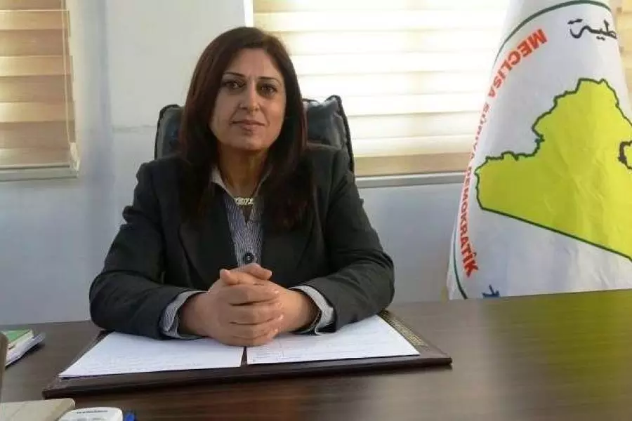 رئيسة "مسد" تنفي عقد اي اجتماع أو لقاء رسمي مع النظام وتحمله مسؤولية الوضع الاقتصادي