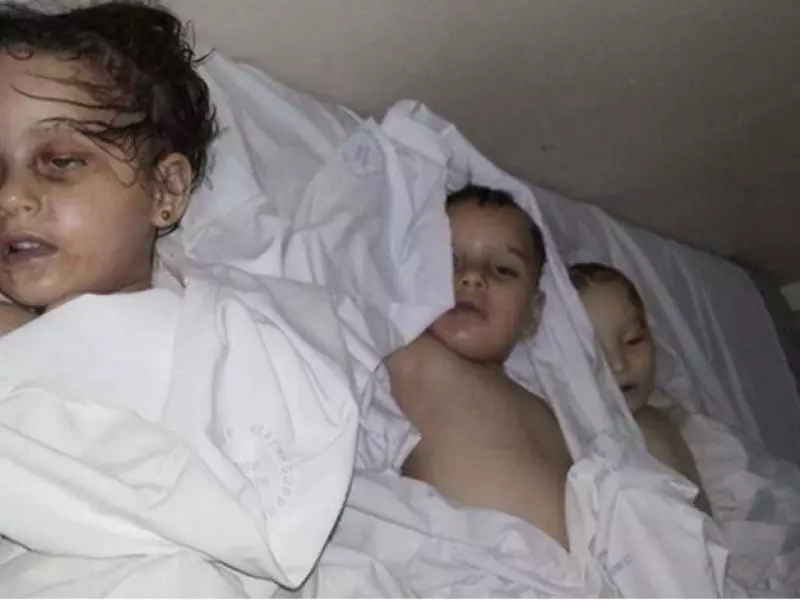 سرمين وأخواتها