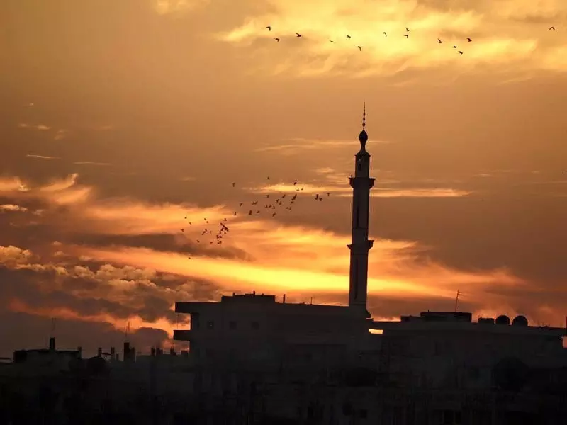 نشرة أخبار الساعة 8 مساءً لجميع الأحداث الميدانية في سوريا 11-12-2015