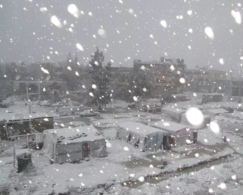 كم سوريًا ينبغى أن يتجمد؟