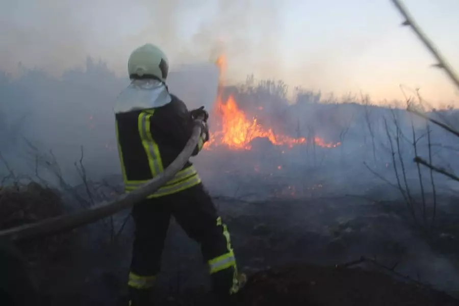 حصاد الأحداث الميدانية ليوم السبت 28-07-2018