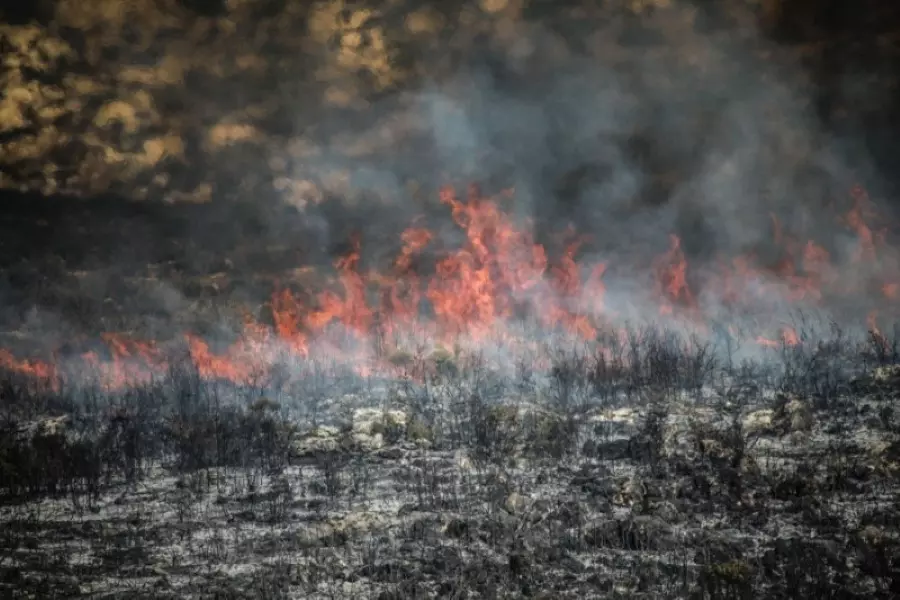 واشنطن تدعو نظام الأسد لإنقاذ المواطنين من الحرائق التي تجتاح البلاد