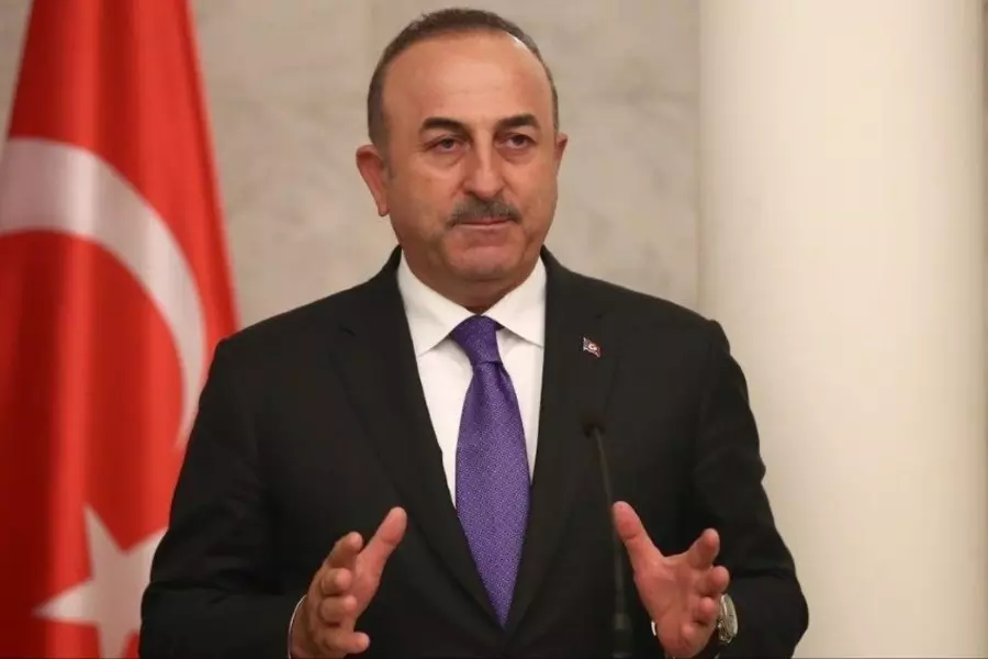 تركيا توضح إتفاق ادلب : منطقة خالية من السلاح الثقيل وسيتم "تطهيرها" من الإرهابيين