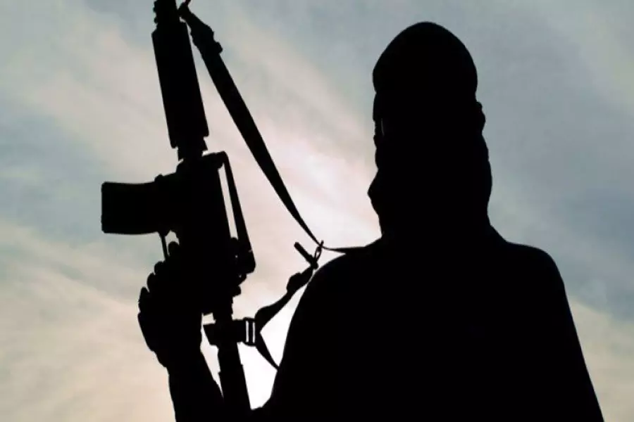 السروريون الجهاديون والغباء