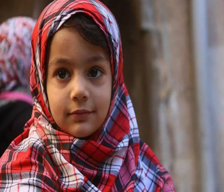 حصاد الاحداث الميدانية ليوم الاثنين 23-11-2015