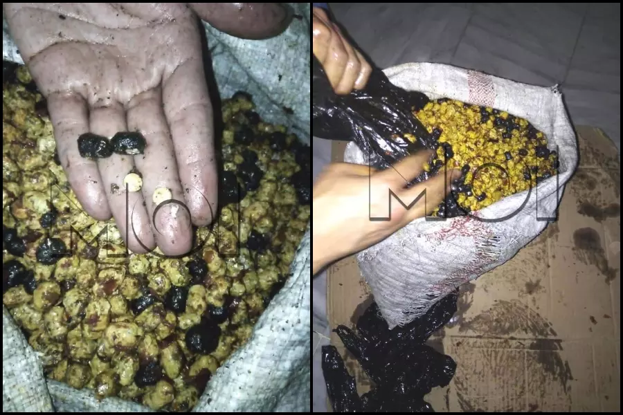 160 ألف حبة كبتاجون .. النظام يعلن ضبط شحنة مخدرات في دمشق