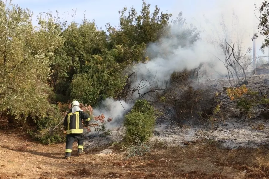 حصاد الأحداث الميدانية ليوم الاحد 14-11-2021