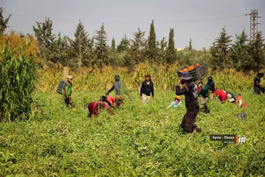 نشرة حصاد يوم الخميس لجميع الأحداث الميدانية والعسكرية في سوريا 10-08-2017