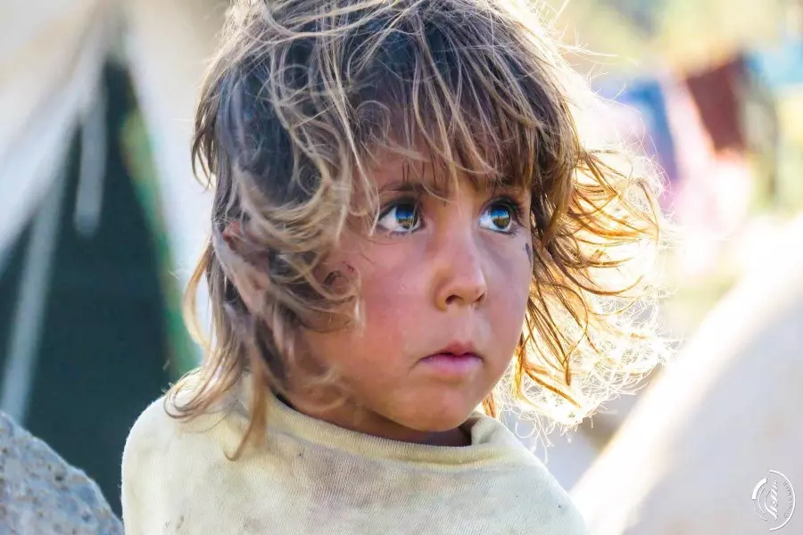 حصاد الاحداث الميدانية ليوم الجمعة 29-07-2016