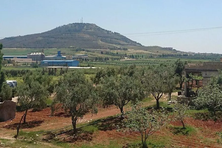 بعد تهجير أصحابها ... النظام يطرح أراضي الزيتون في المزاد العلني بريف حماة