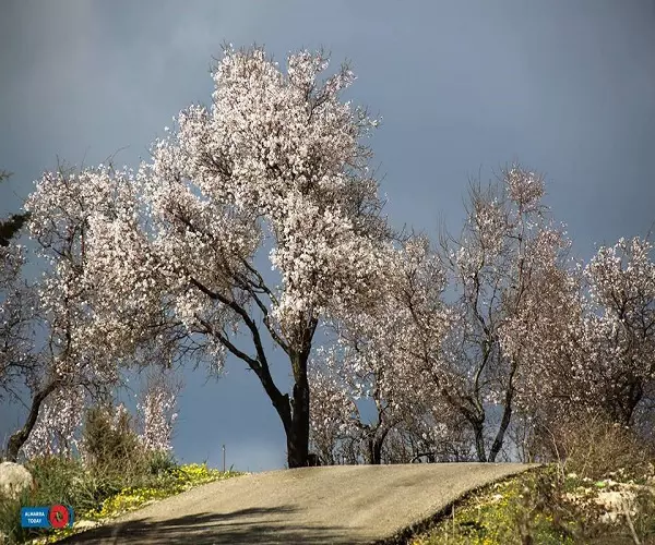 حصاد الاحداث الميدانية ليوم الإثنين 22-02-2016