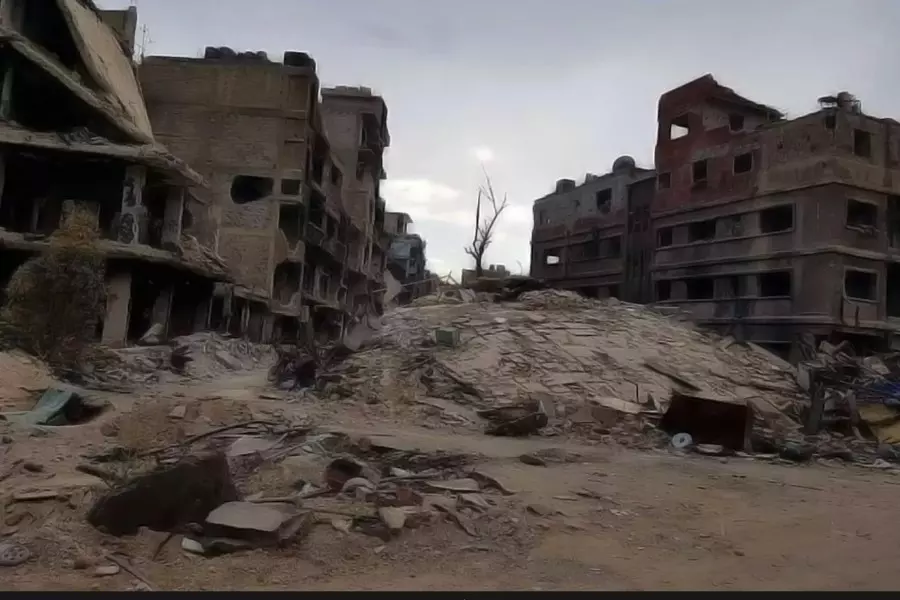 تقرير لـ "الشبكة السورية" يوثق مقتل 3196 فلسطينيا سوريا منذ آذار 2011